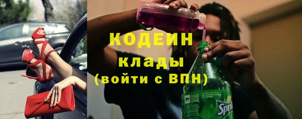 прущий лед Кодинск