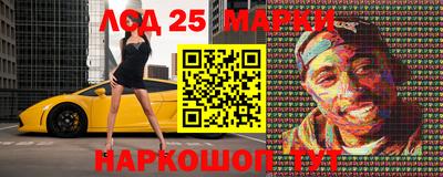 стаф Гатчина