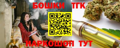 стаф Гатчина
