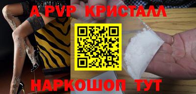 стаф Гатчина