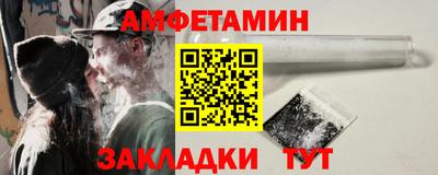 стаф Гатчина