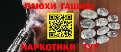стаф Гатчина