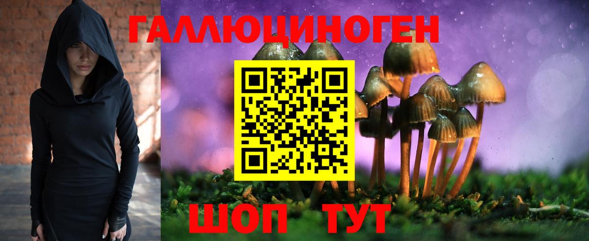 Галлюциногенные грибы прущие грибы Коммунар