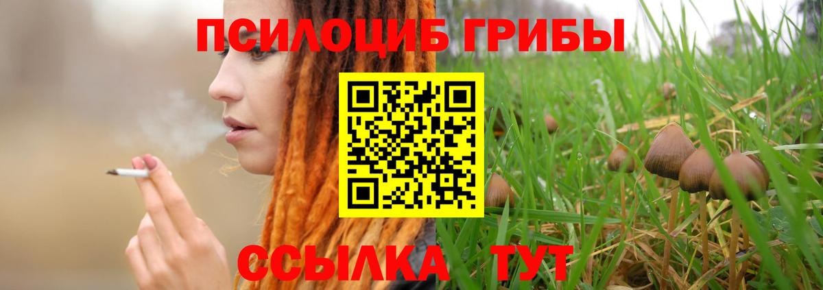 Псилоцибиновые грибы Psilocybe  где можно купить наркотик  Коммунар  Вход с VPN 